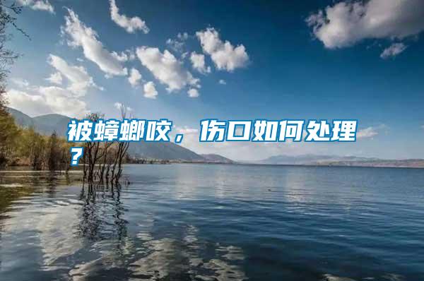 被蟑螂咬，傷口如何處理？