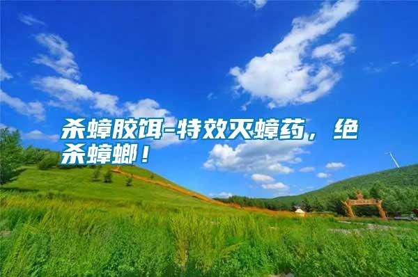 殺蟑膠餌-特效滅蟑藥，絕殺蟑螂！