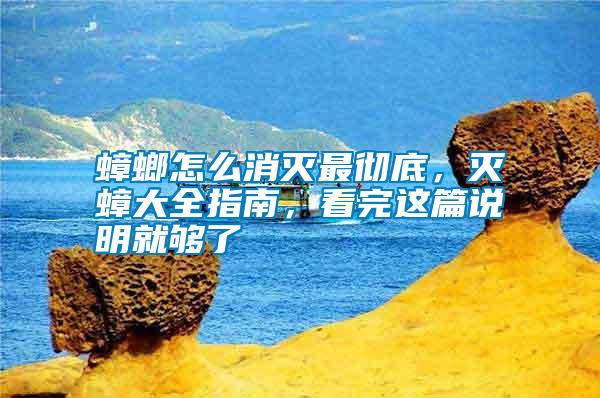 蟑螂怎么消滅最徹底，滅蟑大全指南，看完這篇說明就夠了