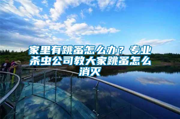 家里有跳蚤怎么辦？專業殺蟲公司教大家跳蚤怎么消滅