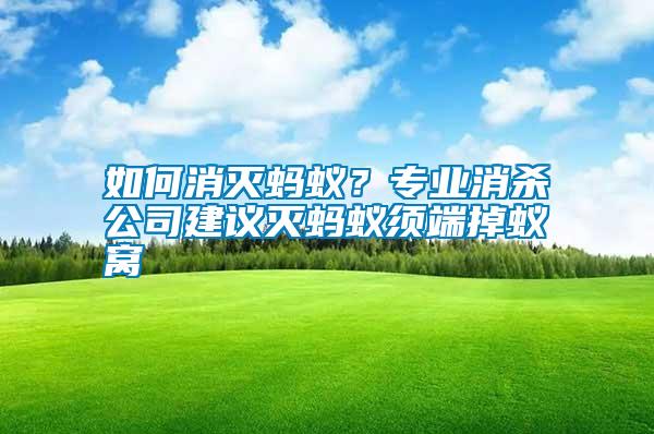 如何消滅螞蟻？專業(yè)消殺公司建議滅螞蟻須端掉蟻窩