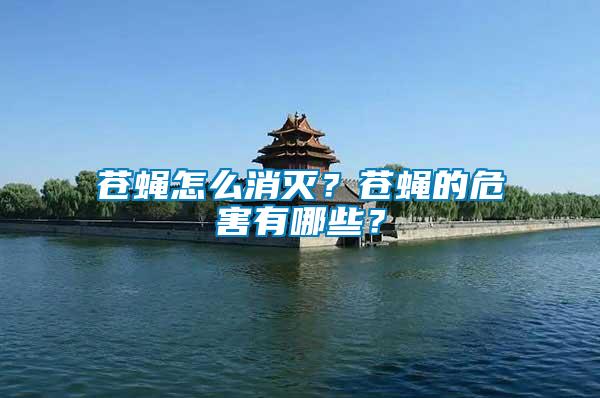 蒼蠅怎么消滅？蒼蠅的危害有哪些？
