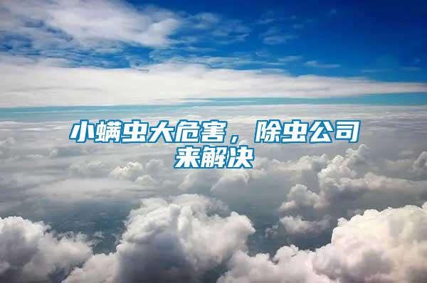 小螨蟲大危害，除蟲公司來解決