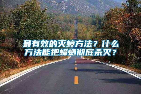 最有效的滅蟑方法？什么方法能把蟑螂徹底殺滅？