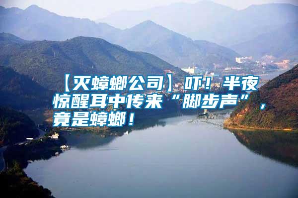 【滅蟑螂公司】嚇！半夜驚醒耳中傳來“腳步聲”，竟是蟑螂！