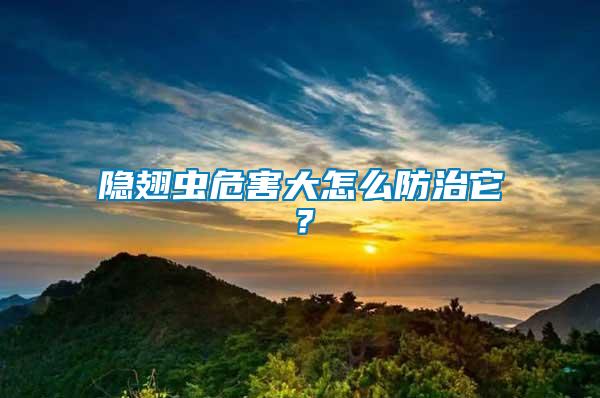 隱翅蟲危害大怎么防治它？
