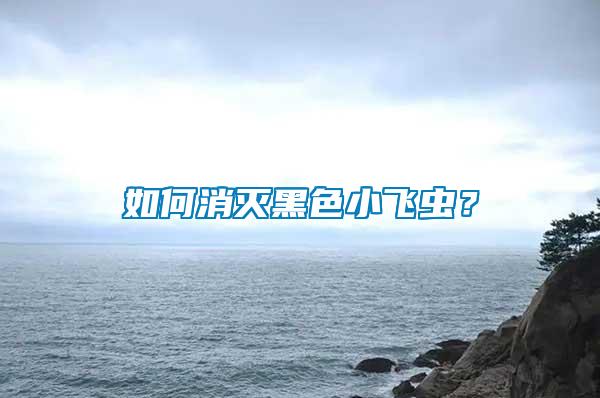 如何消滅黑色小飛蟲(chóng)？