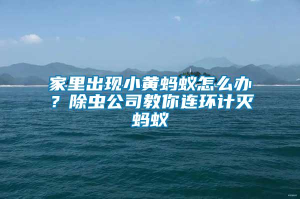 家里出現(xiàn)小黃螞蟻怎么辦？除蟲公司教你連環(huán)計(jì)滅螞蟻