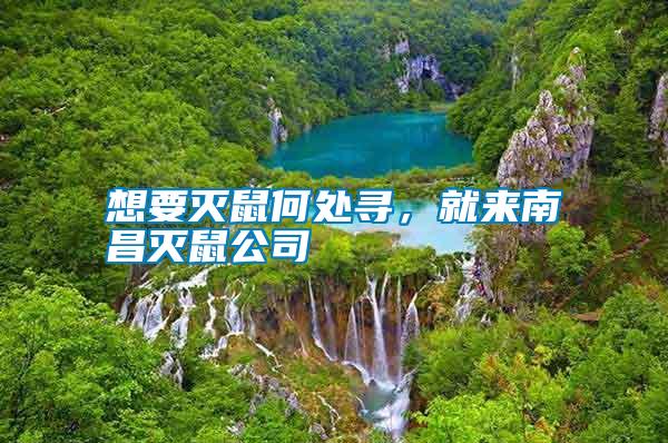 想要滅鼠何處尋，就來(lái)南昌滅鼠公司