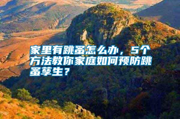 家里有跳蚤怎么辦，5個方法教你家庭如何預防跳蚤孳生？