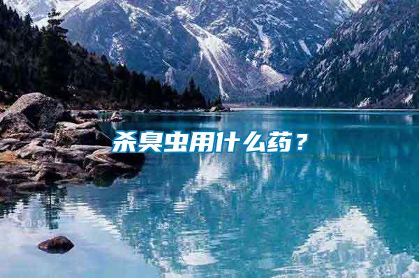 殺臭蟲(chóng)用什么藥？