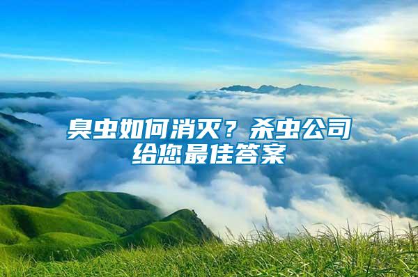 臭蟲如何消滅？殺蟲公司給您最佳答案