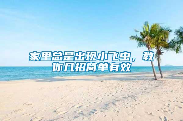 家里總是出現(xiàn)小飛蟲，教你幾招簡(jiǎn)單有效