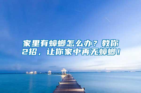 家里有蟑螂怎么辦？教你2招，讓你家中再無蟑螂！