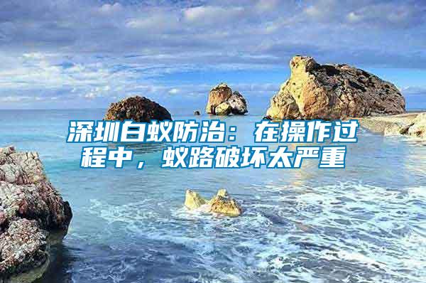 深圳白蟻防治：在操作過程中，蟻路破壞太嚴重
