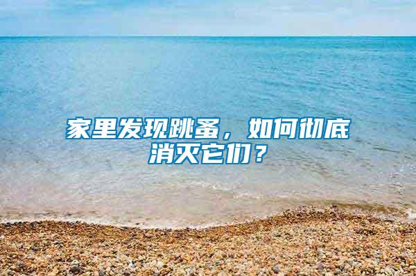 家里發(fā)現(xiàn)跳蚤，如何徹底消滅它們？