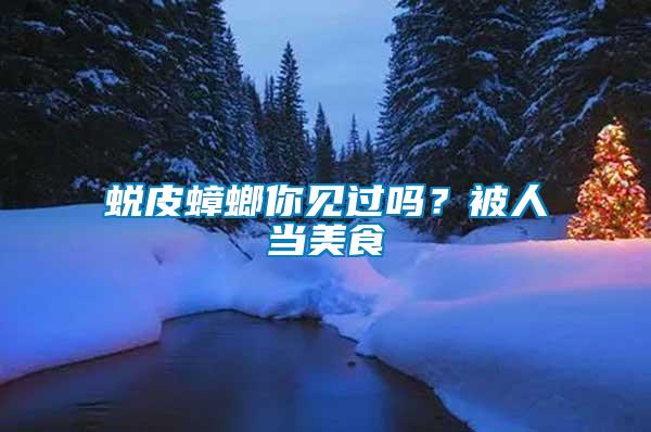 蛻皮蟑螂你見過嗎？被人當美食