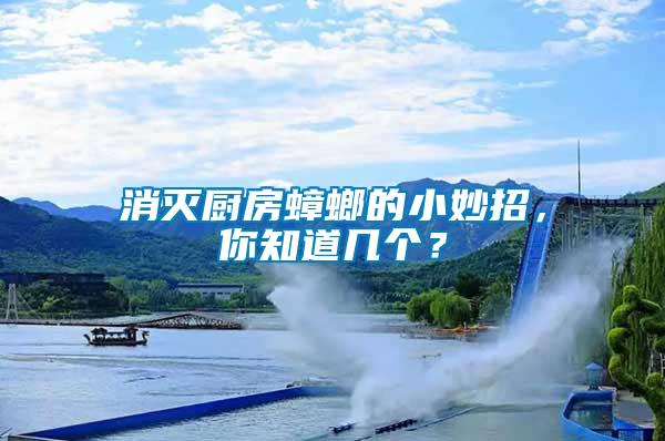消滅廚房蟑螂的小妙招，你知道幾個？