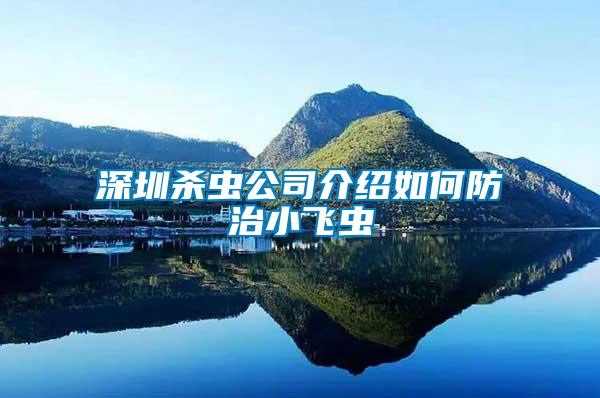 深圳殺蟲(chóng)公司介紹如何防治小飛蟲(chóng)