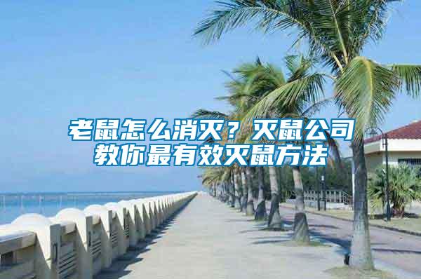 老鼠怎么消滅？滅鼠公司教你最有效滅鼠方法