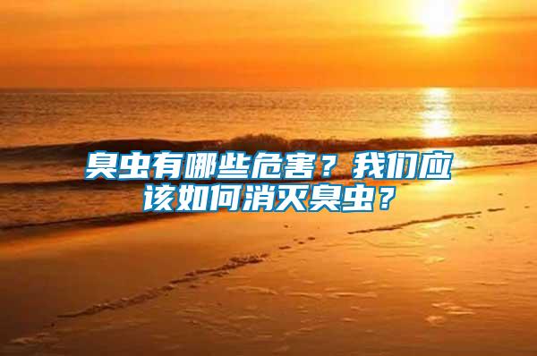 臭蟲有哪些危害？我們應該如何消滅臭蟲？