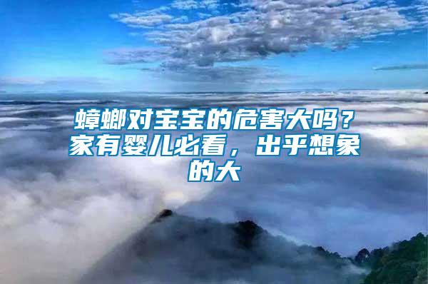 蟑螂對寶寶的危害大嗎？家有嬰兒必看，出乎想象的大