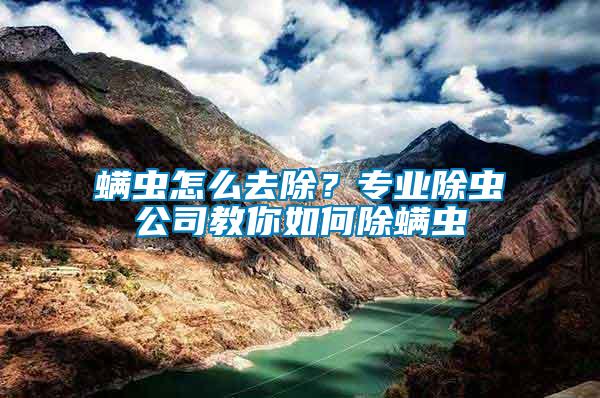 螨蟲怎么去除？專業除蟲公司教你如何除螨蟲