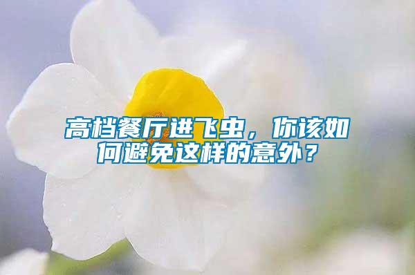 高檔餐廳進飛蟲，你該如何避免這樣的意外？