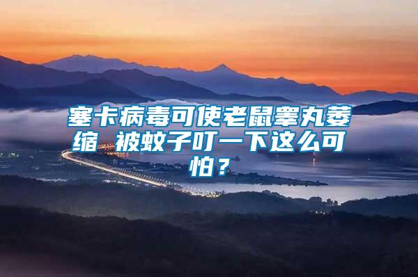 塞卡病毒可使老鼠睪丸萎縮 被蚊子叮一下這么可怕？