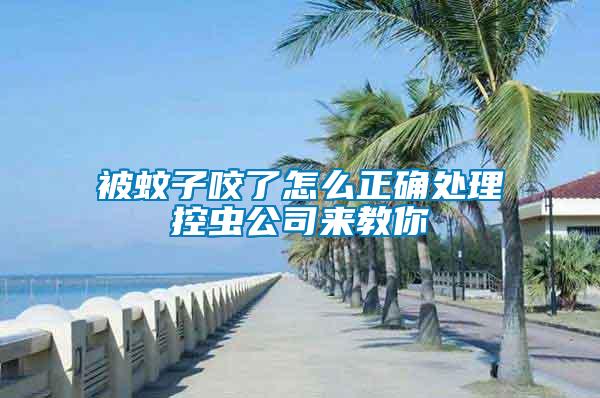 被蚊子咬了怎么正確處理控蟲公司來(lái)教你