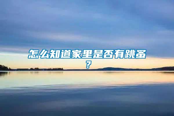 怎么知道家里是否有跳蚤？