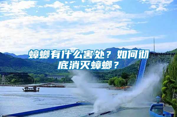 蟑螂有什么害處？如何徹底消滅蟑螂？