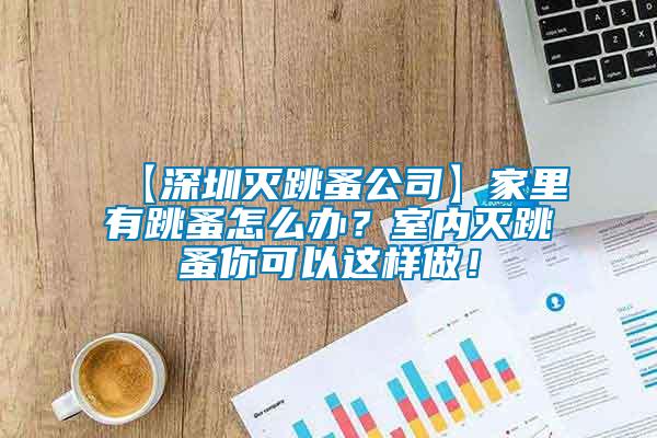 【深圳滅跳蚤公司】家里有跳蚤怎么辦？室內滅跳蚤你可以這樣做！