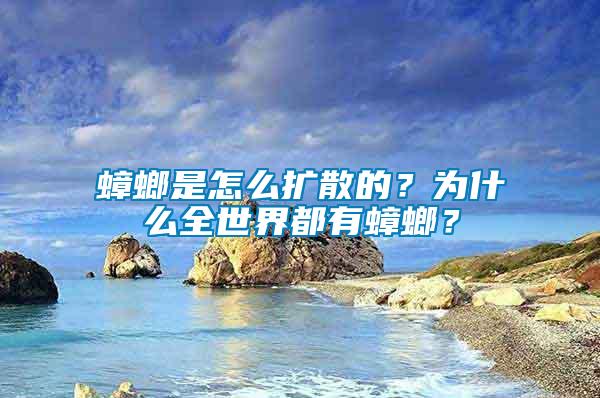 蟑螂是怎么擴(kuò)散的？為什么全世界都有蟑螂？