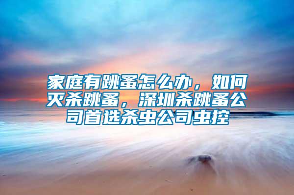 家庭有跳蚤怎么辦，如何滅殺跳蚤，深圳殺跳蚤公司首選殺蟲公司蟲控