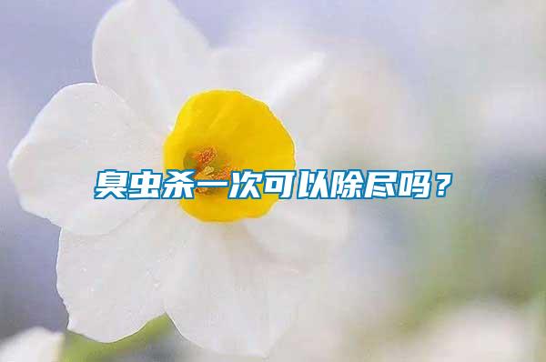 臭蟲殺一次可以除盡嗎？