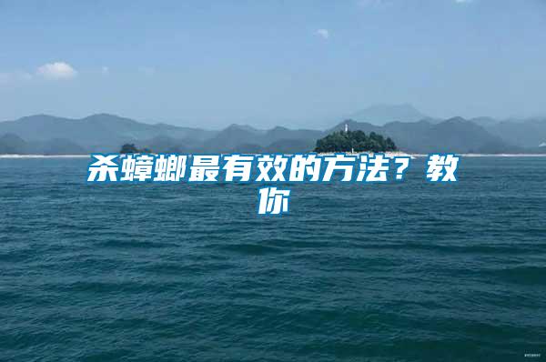 殺蟑螂最有效的方法？教你