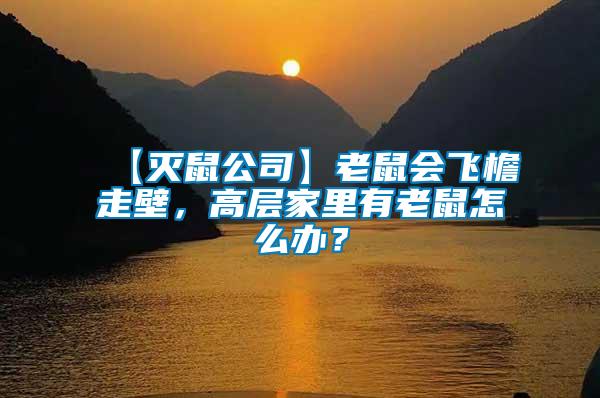 【滅鼠公司】老鼠會飛檐走壁，高層家里有老鼠怎么辦？