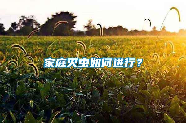 家庭滅蟲(chóng)如何進(jìn)行？