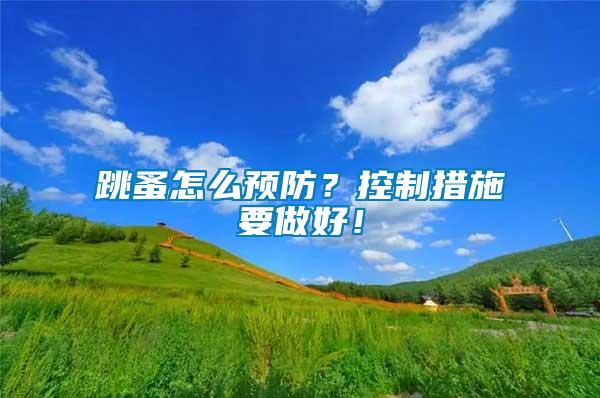 跳蚤怎么預防？控制措施要做好！