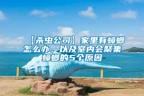 【殺蟲公司】家里有蟑螂怎么辦，以及室內會聚集蟑螂的5個原因
