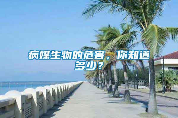 病媒生物的危害，你知道多少？