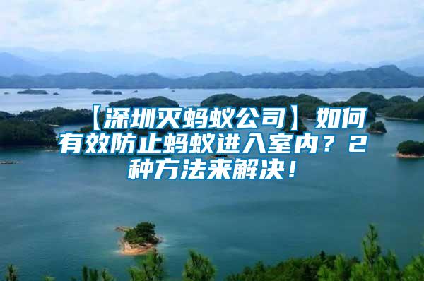 【深圳滅螞蟻公司】如何有效防止螞蟻進入室內？2種方法來解決！