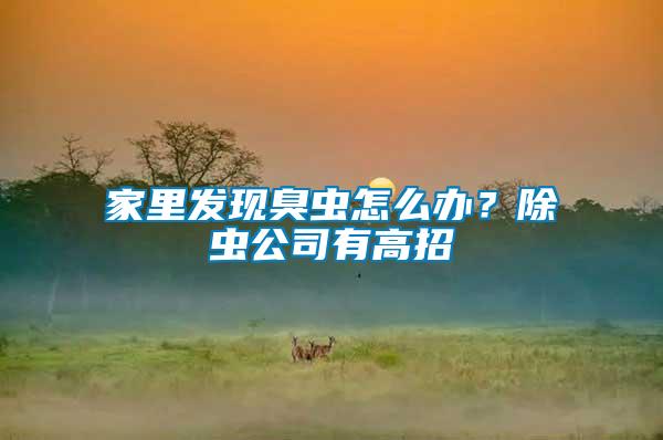 家里發現臭蟲怎么辦？除蟲公司有高招