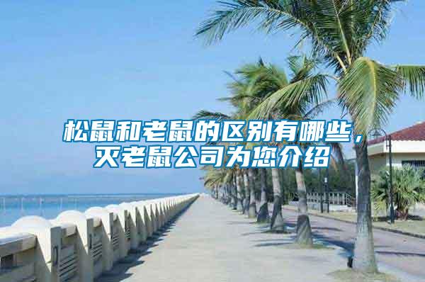 松鼠和老鼠的區別有哪些，滅老鼠公司為您介紹