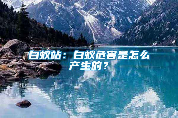 白蟻站：白蟻危害是怎么產生的？