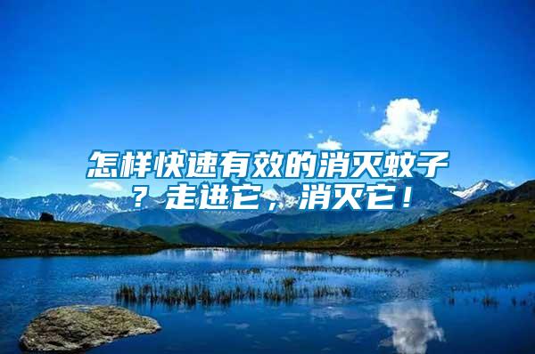 怎樣快速有效的消滅蚊子？走進它，消滅它！