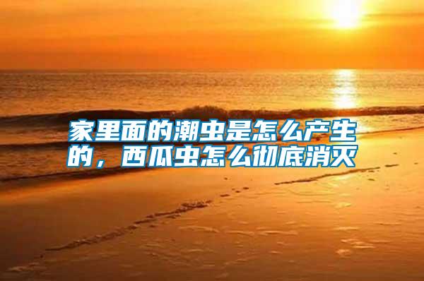 家里面的潮蟲是怎么產生的，西瓜蟲怎么徹底消滅