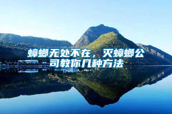 蟑螂無處不在，滅蟑螂公司教你幾種方法