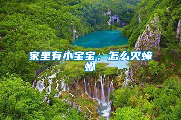 家里有小寶寶，怎么滅蟑螂